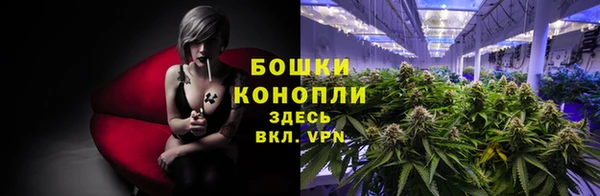 амф Володарск