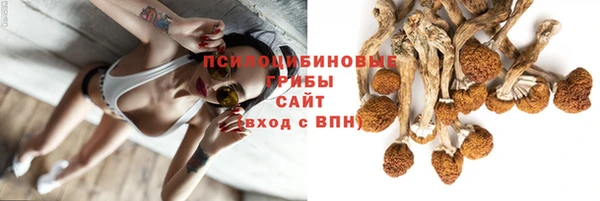 амф Володарск