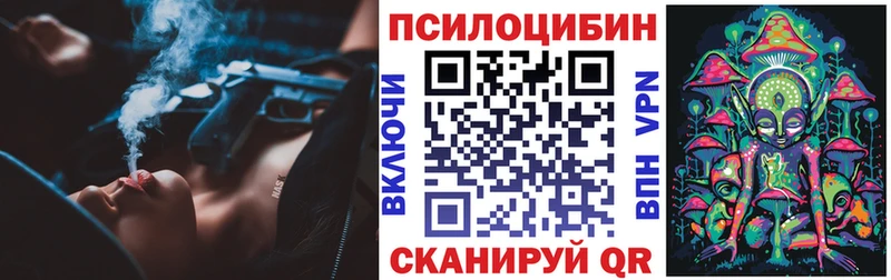 цена наркотик  это телеграм  Галлюциногенные грибы Magic Shrooms  Камызяк 