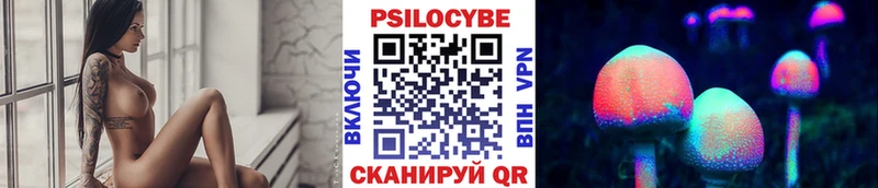 Галлюциногенные грибы Psilocybe Камызяк