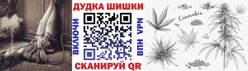 Каннабис OG Kush  где купить наркоту  Камызяк 