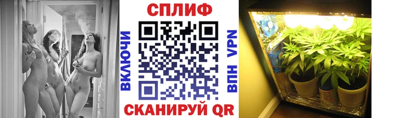 Канабис White Widow Камызяк